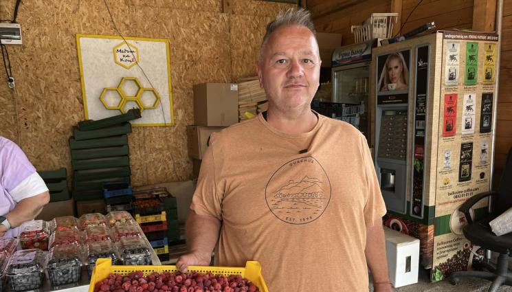 Малинопоризводители от Самоков - Замразете малини през лятото