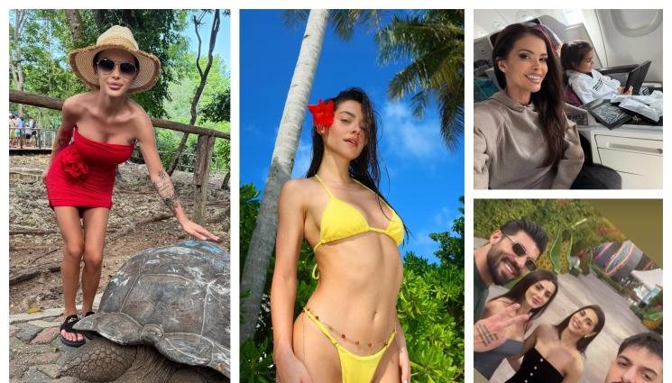 f - Звездите избягаха на топло