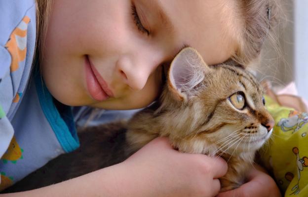 Домашна котка