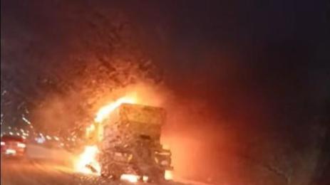 снегорин софия