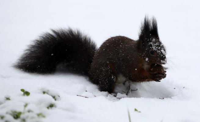 От минус 13° до 4°: Жълт код за опасни студове и снеговалежи в понеделник