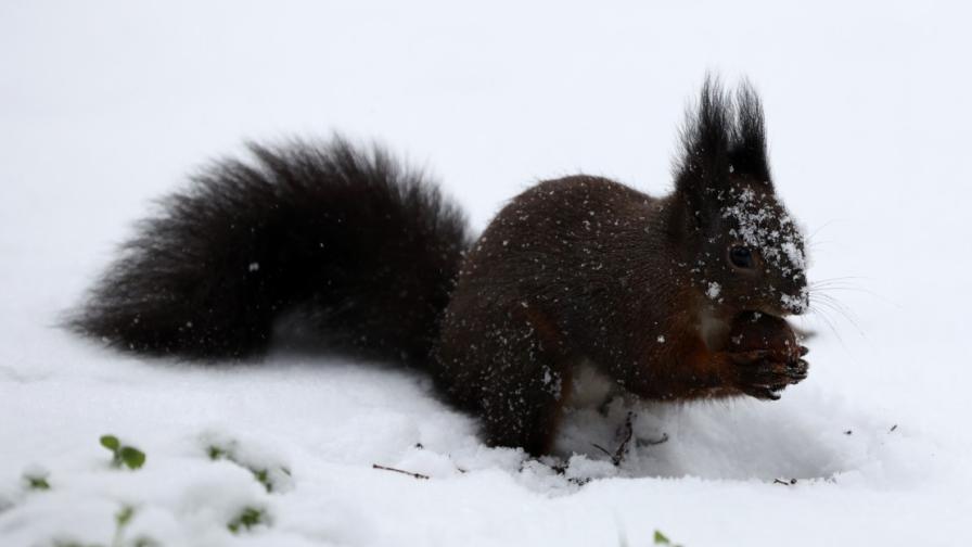 Снежната обстановка затрудни придвижването в...
