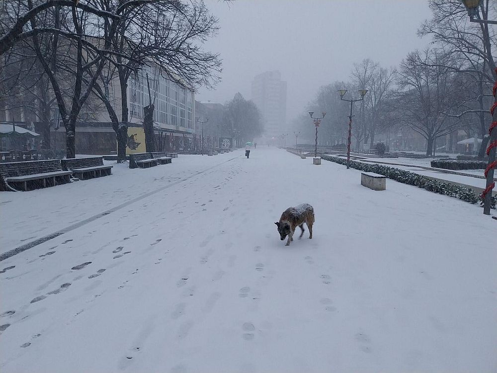 Зимата се завърна с пълна сила в цялата страна