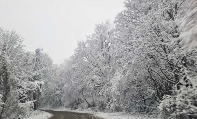 Забраниха движението от Троянския проход до хижа „Дерменка“