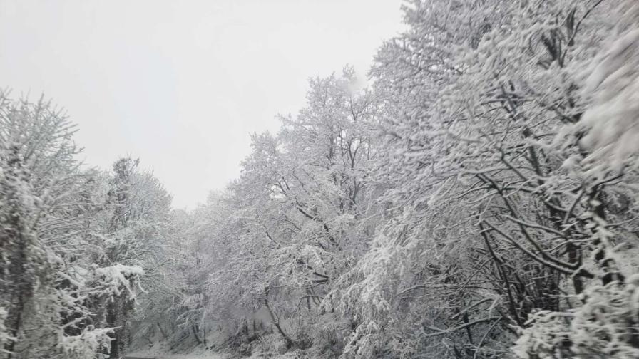 Забраниха движението от Троянския проход до хижа „Дерменка“
