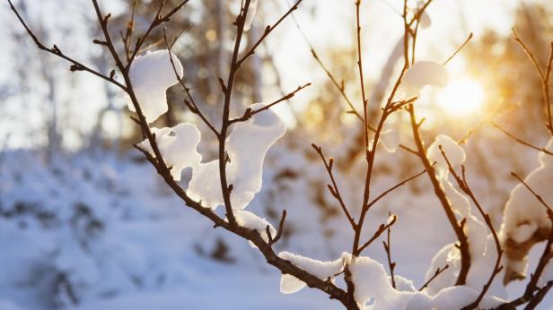 Зима: Валежи от дъжд и сняг