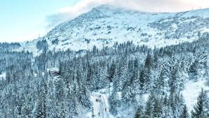 Във връзка с очакван снеговалеж и много ниски температури Столична