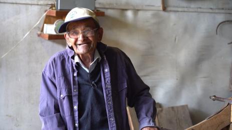 майстор на файтони