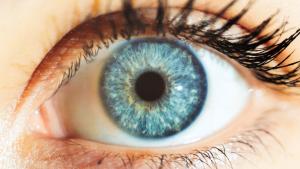 Хората със сини очи имат един прародител?