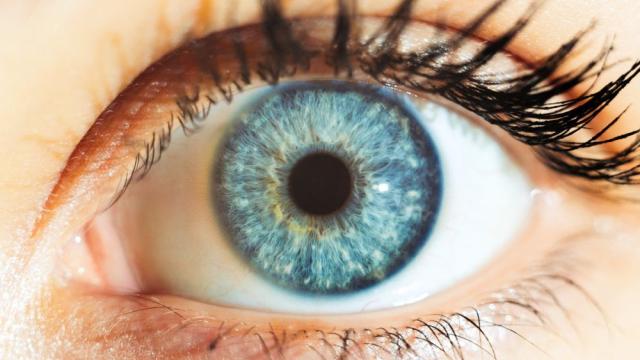 Хората със сини очи имат един прародител?