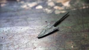 Отровни стрели на около 60 000 години бяха открити в