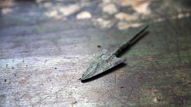 Откритие, което пренаписва историята: Най-старите отровни оръжия в света