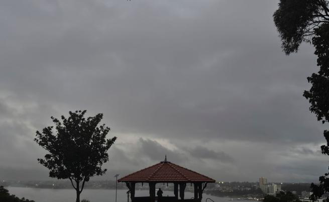 Тропическият циклон 