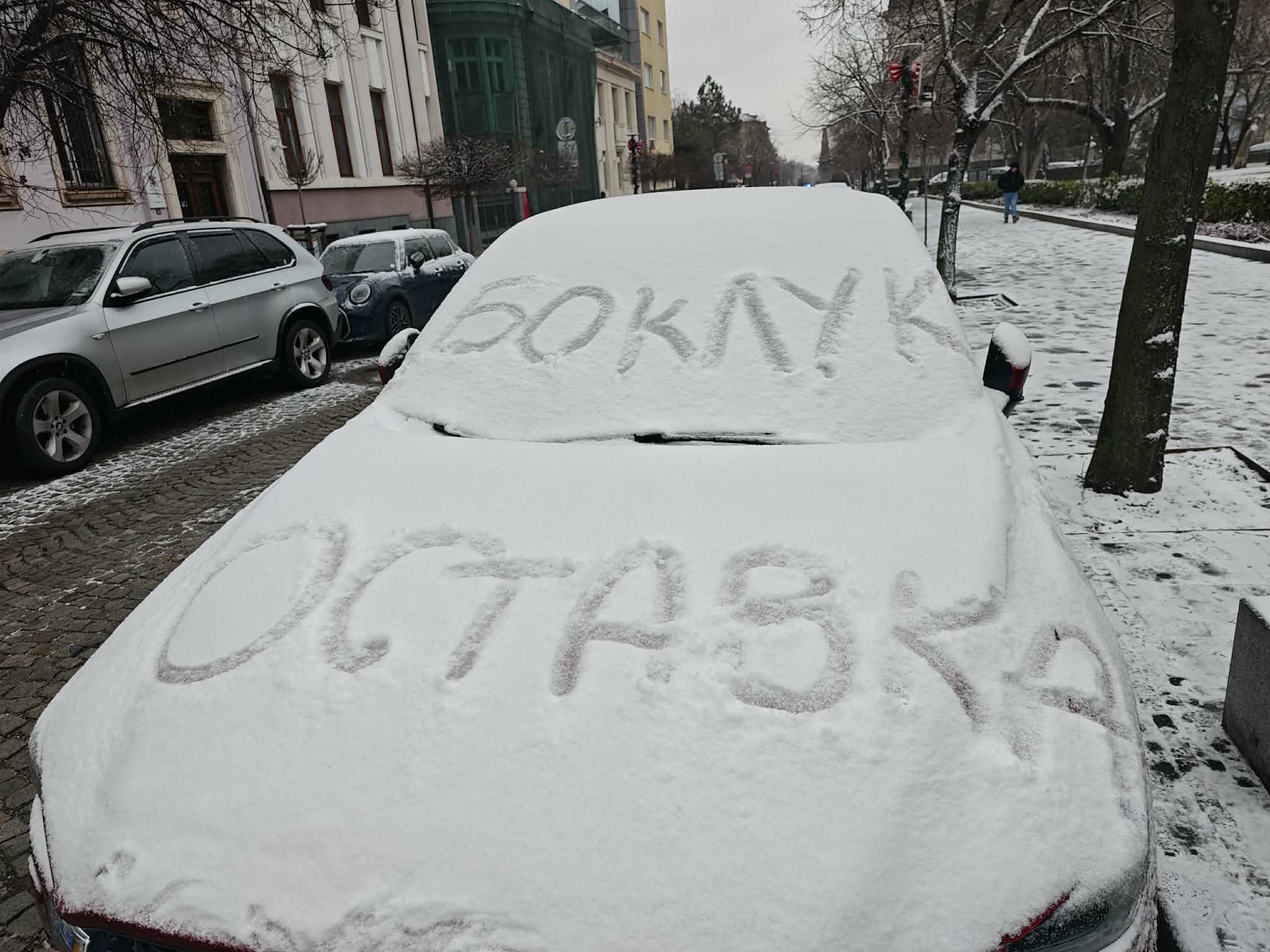 софия боклук