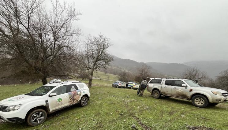 с - ТРАГИЧНА НАХОДКА: Откриха мъртви черни лешояди край Котел