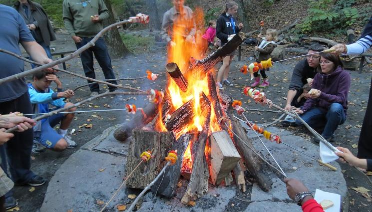 Сланина - Избираме от ферма месото за сланина и бекон