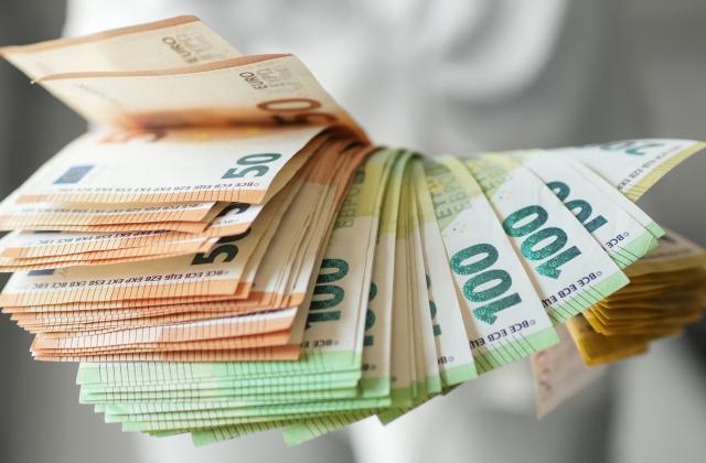 Въвеждането на еврото е номинална промяна и като такава няма