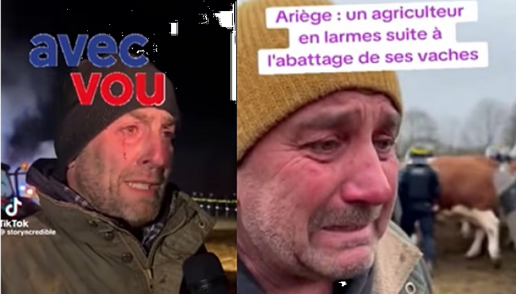 видеа - Фалшиви видеа от фермерски протести заляха нета