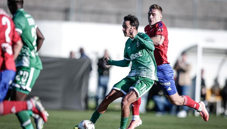 Лудогорец - Лудогорец покаха характер срещу поляци