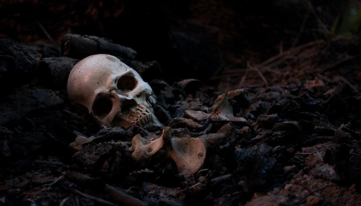 череп останки - ОТВРАТИТЕЛНО: Ненормалник изрови над 100 човешки останки, за да ги продаде онлайн!