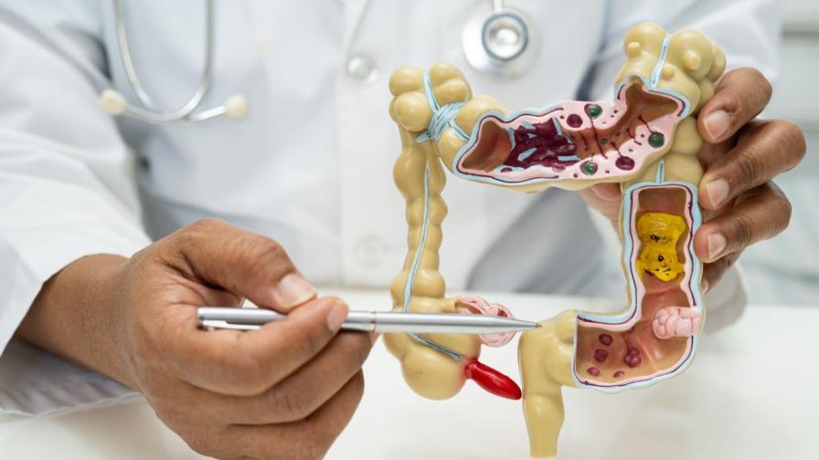 Тези органи се считат за излишни, но науката твърди друго