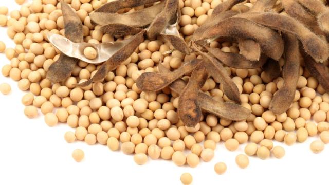 Полезните свойства на соята: Защо я наричат храна на бъдещето