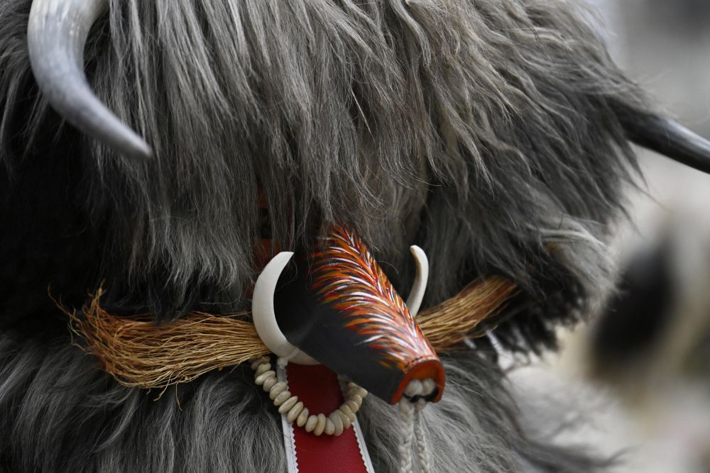 Магията на Сурва в кадри