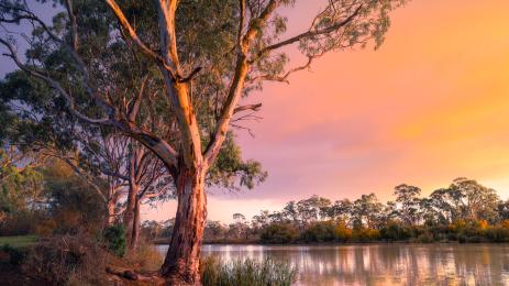 река австралия