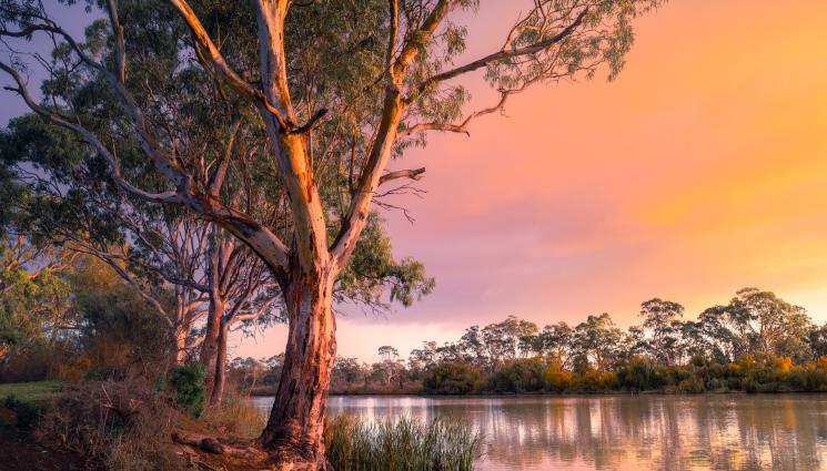 река австралия - Реката, по-стара от динозаврите: Тече вече 400 милиона години!