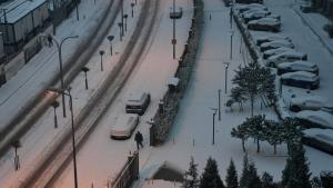 Над 100 полета от истанбулското летище Сабиха Гьокчен бяха отменени