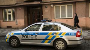 Чехия полиция