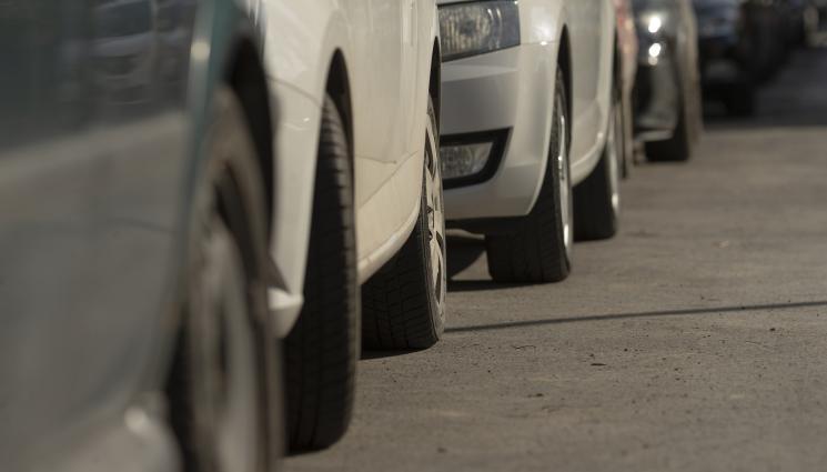 коли - Свиват опашките на канала пред КАТ!