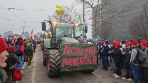 Около 40 българи са на протеста пред Европейския парламент в Страсбур