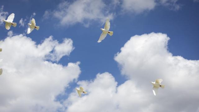 Британските деца избраха „мир“ за дума на 2025 г.