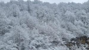 сняг проход