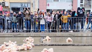 протест ВСС Сарафов