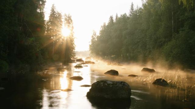 Балканите губят едни от най-чистите и диви реки в Европа 