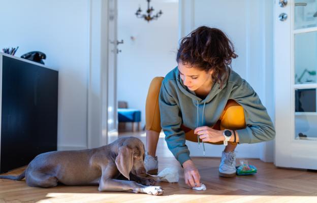 куче пелена