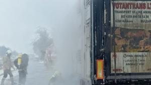 камион прасета огън