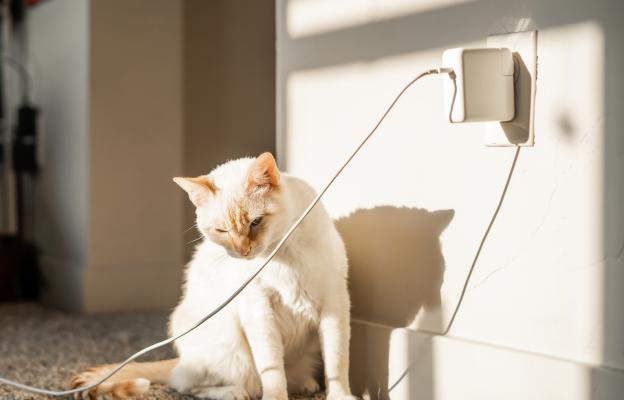 Котка си играе с кабели