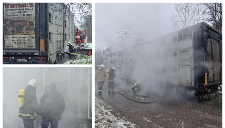 s - ПОЖАР НА ПЪТЯ: Камион с близо 200 прасета пламна в движение