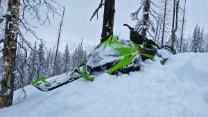 моторна шейна