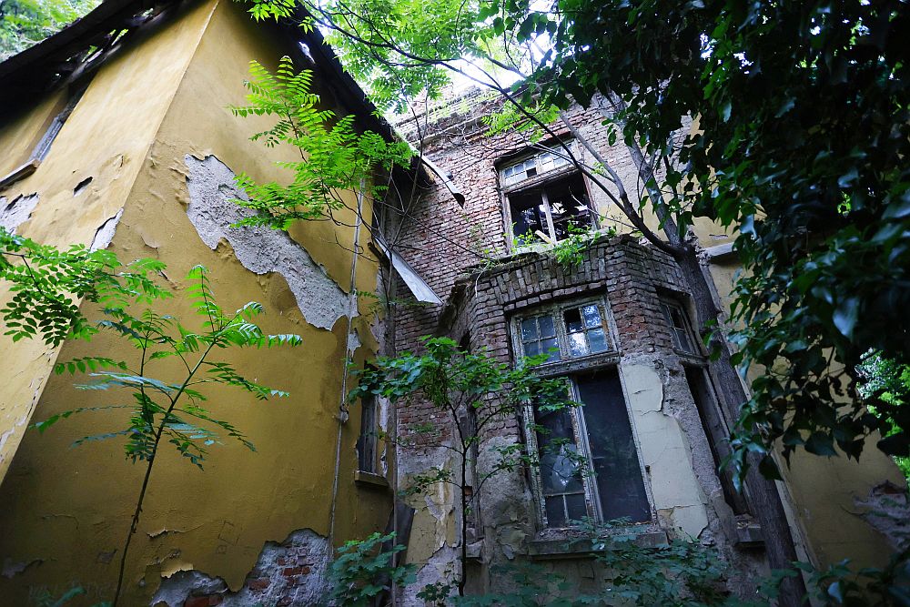 Къщата на Гешов