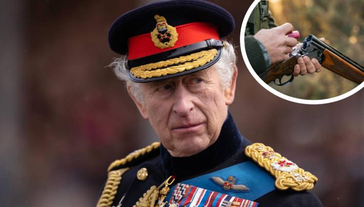 чарлз - ЗАРАДИ СТРАХ ОТ САМОУБИЙСТВО: Крал Чарлз заключи пушките в двореца!