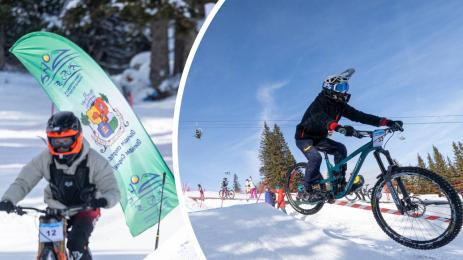 Витоша велодеули