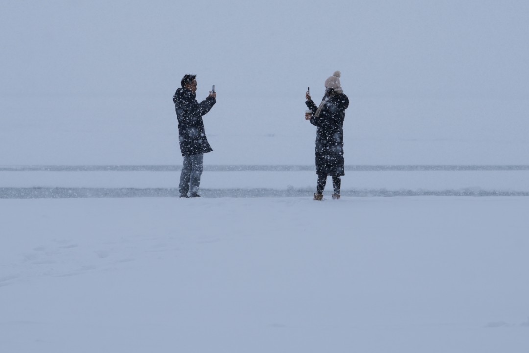 <p>Повече от 800 000 души в САЩ, включително в щата Ню Мексико в западната част на страната, останаха без електричество, а над 10 000 полета бяха отменени днес преди огромната зимна буря, която заплашва да парализира източните щати с обилни снеговалежи.</p>