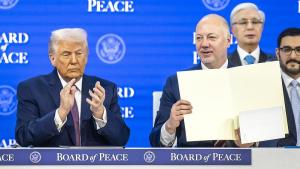 Съвет за мир