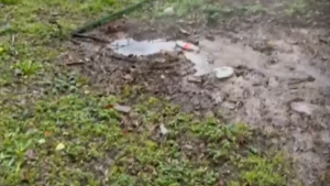 Жители на столичния квартал Дианабад алармират за сериозни течове от