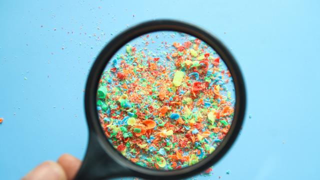 Има ли и колко микропластмаси в тялото ни, учени искат криминалистична точност