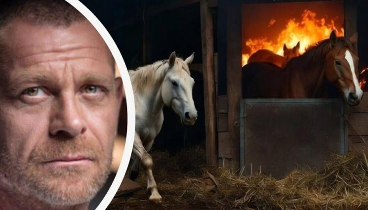 с - Юлиан Вергов скърби за загиналите коне във 